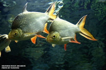 nEO_IMG_DSC9597.jpg