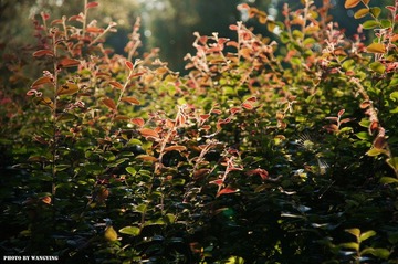 nEO_IMG_DSC05308.jpg