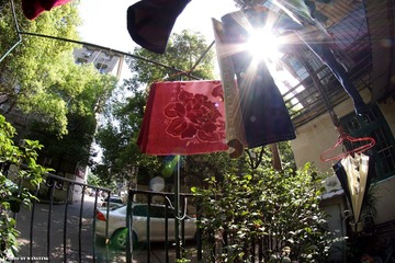 DSC09726.jpg