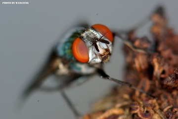 DSC00184_副本.jpg