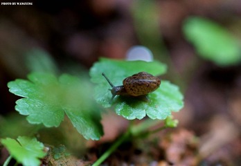 DSC00097_副本.jpg