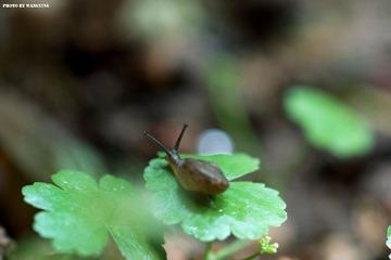 DSC00104_副本.jpg