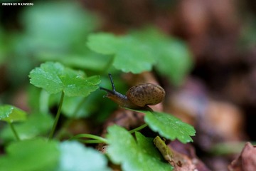 DSC00110_副本.jpg