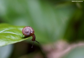 DSC00119_副本.jpg
