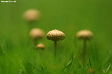 DSC09757_副本.jpg