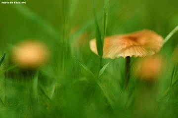 DSC09763_副本.jpg