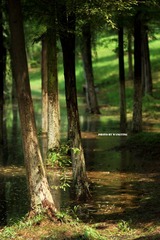 DSC09769_副本.jpg