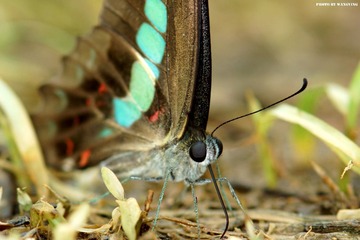 DSC09899_副本.jpg