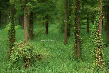 DSC00347_副本.jpg