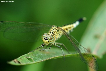 DSC00355_副本.jpg
