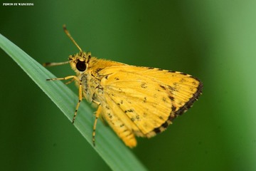 DSC00366_副本.jpg