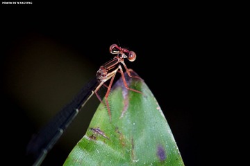 DSC00385_副本.jpg
