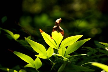 DSC00645_副本.jpg