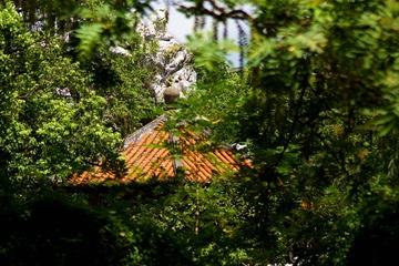 DSC00616_副本.jpg