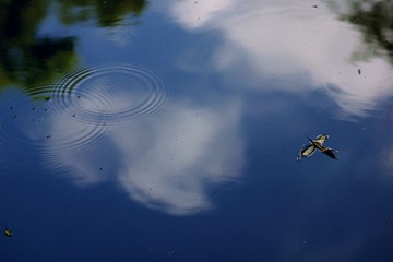 DSC00629_副本.jpg