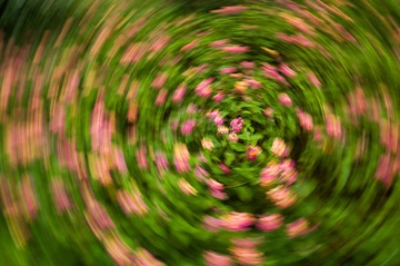 1000052736