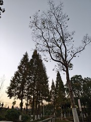 1000004764