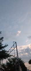 1000011675