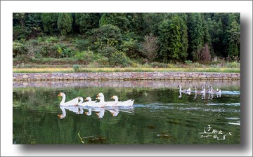IMG_8464_副本_副本
