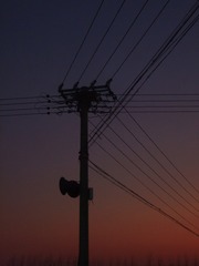 1000079176