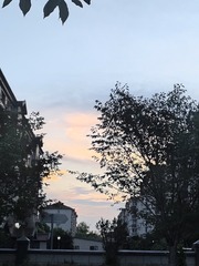 1000181692