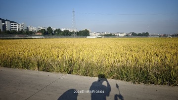 1000005560