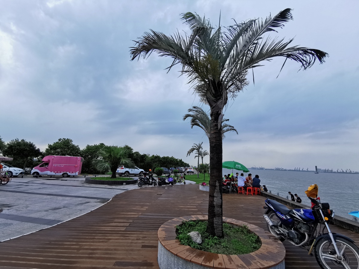 广州番禺海鸥岛