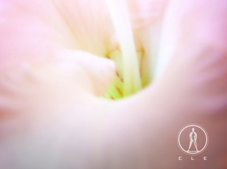 30 花欲 张家玮.JPG
