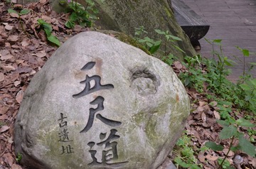 1000117108