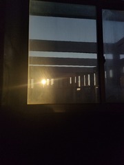 1000016259