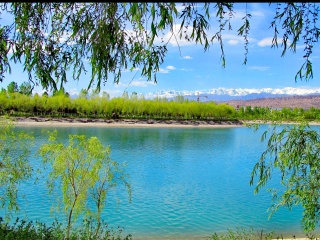 1000108643
