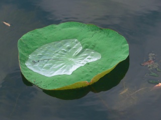 1000117967