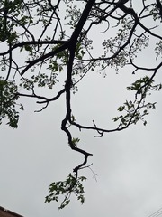 1000078123