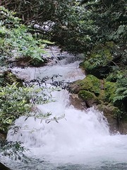 1000002975