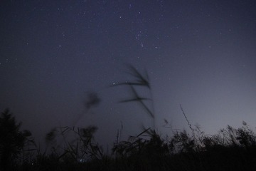 IMG_5647.JPG