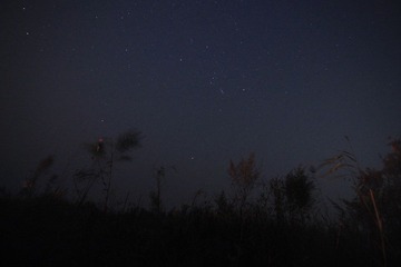 IMG_5614.JPG