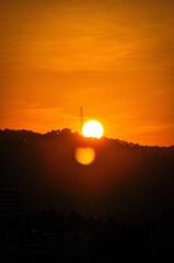 1000012531