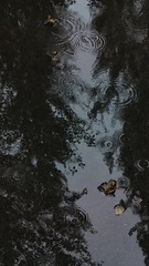 1000002666