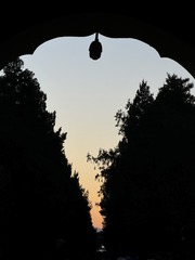 001