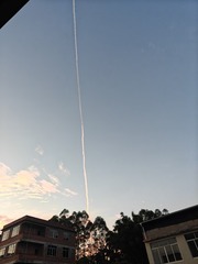 1000037065