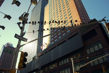 _DSC0118