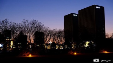 DSCF0369.jpg