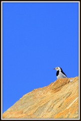 3368326