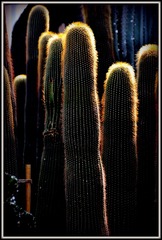 2010618