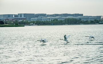 JHT_0814