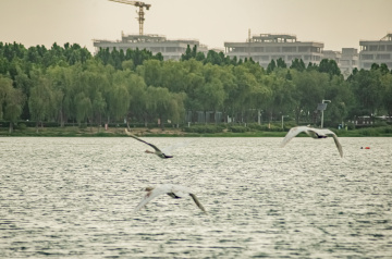 JHT_0831