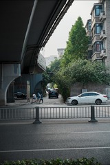 295041