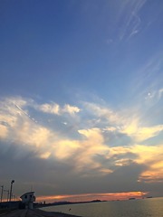 1000007306