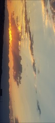 1000039002