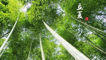 nEO_IMG_7立夏.jpg